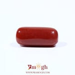 Red Coral - 7.1 Carat