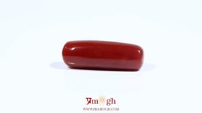 Red Coral - 8.8 Carat