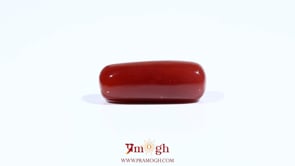 Red Coral - 7.7 Carat