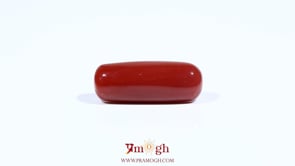 Red Coral - 7.48 Carat