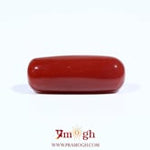 Red Coral - 7.48 Carat