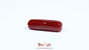 Red Coral - 7.25 Carat