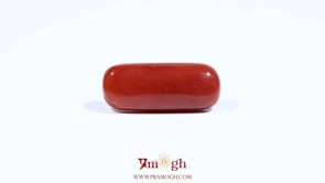 Red Coral - 8 Carat