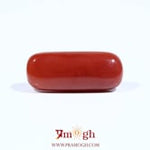 Red Coral - 8 Carat