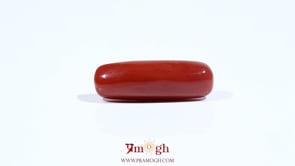 Red Coral - 7.35 Carat
