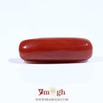Red Coral - 7.35 Carat