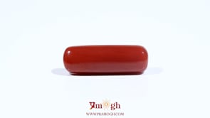 Red Coral - 7.8 Carat