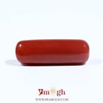Red Coral - 7.8 Carat
