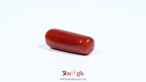 Red Coral - 7.75 Carat