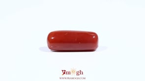 Red Coral - 7.3 Carat