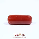 Red Coral - 7.3 Carat