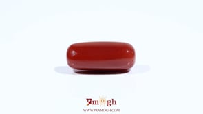 Red Coral - 8.15 Carat
