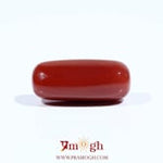 Red Coral - 8.15 Carat