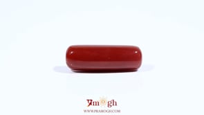 Red Coral - 7.2 Carat