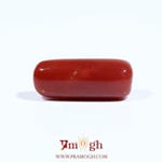 Red Coral - 7.2 Carat