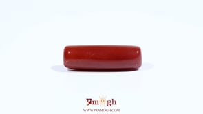 Red Coral - 7.9 Carat