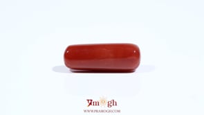Red Coral - 7.8 Carat