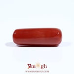 Red Coral - 7.8 Carat