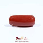 Red Coral - 7.95 Carat