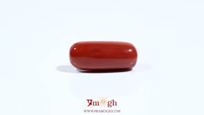 Red Coral - 7.65 Carat