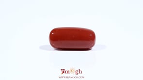 Red Coral - 8.1 Carat