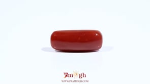 Red Coral - 7.5 Carat
