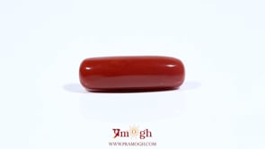 Red Coral - 7.95 Carat