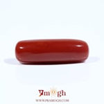 Red Coral - 7.95 Carat