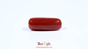 Red Coral - 8.75 Carat