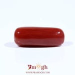 Red Coral - 8.75 Carat