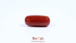 Red Coral - 7 Carat