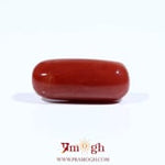 Red Coral - 7 Carat