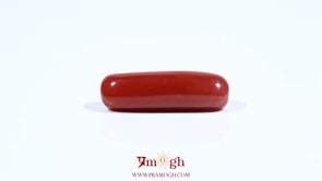 Red Coral - 7.2 Carat