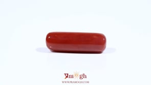 Red Coral - 7.75 Carat