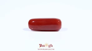 Red Coral - 7.55 Carat