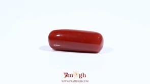 Red Coral - 8.45 Carat