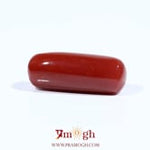 Red Coral - 8.45 Carat