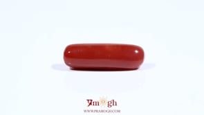 Red Coral - 7.4 Carat