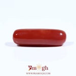 Red Coral - 7.4 Carat