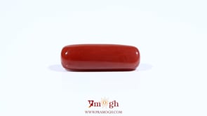 Red Coral - 7.4 Carat