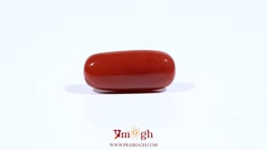 Red Coral - 7.1 Carat
