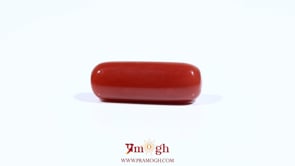 Red Coral - 7.4 Carat