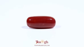 Red Coral - 7.25 Carat