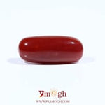 Red Coral - 7.25 Carat