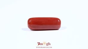 Red Coral - 7.6 Carat