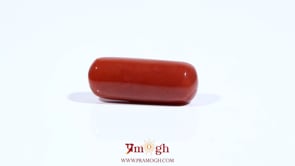 Red Coral - 8.68 Carat