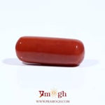 Red Coral - 8.68 Carat
