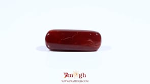 Red Coral - 7.9 Carat