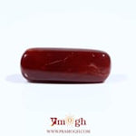Red Coral - 7.9 Carat
