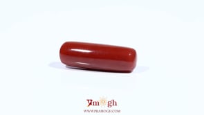 Red Coral - 7.45 Carat